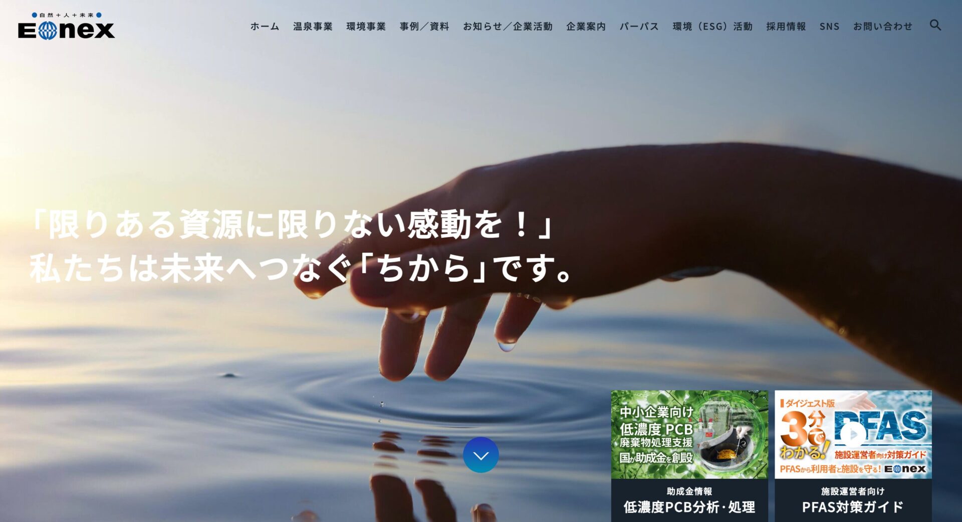 株式会社エオネックス